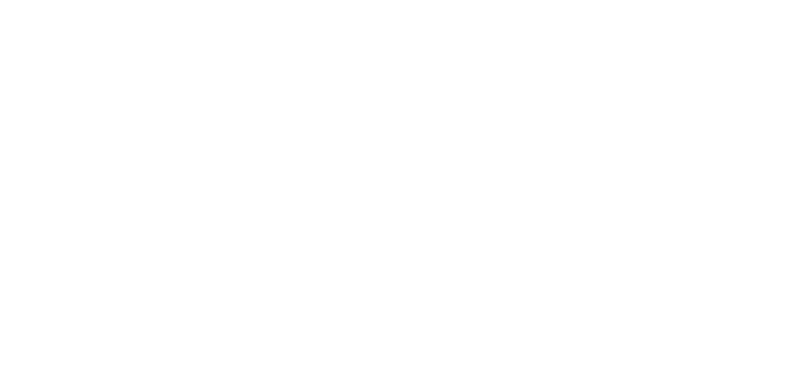 DDL srl - EPS & XPS Solutions